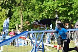 Canis zaterdag
