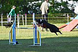 Canis zaterdag