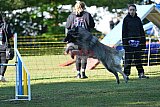 Canis zaterdag