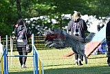 Canis zaterdag