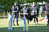 Canis zaterdag