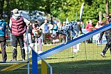 Canis zaterdag