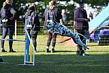 Canis zaterdag