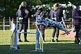 Canis zaterdag