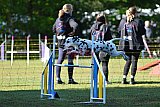 Canis zaterdag