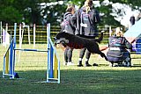 Canis zaterdag