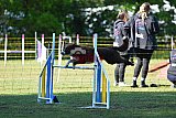 Canis zaterdag