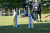 Canis zaterdag