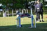 Canis zaterdag