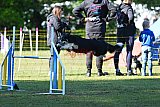 Canis zaterdag