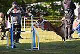 Canis zaterdag