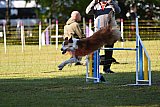 Canis zaterdag