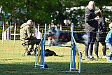 Canis zaterdag