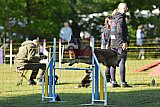 Canis zaterdag