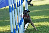 Canis zaterdag