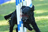 Canis zaterdag