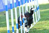 Canis zaterdag