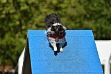 Canis zaterdag