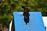 Canis zaterdag