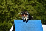 Canis zaterdag