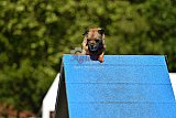 Canis zaterdag