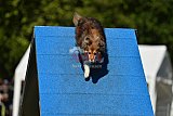 Canis zaterdag