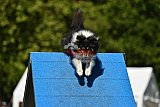 Canis zaterdag