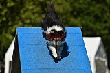 Canis zaterdag