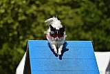Canis zaterdag