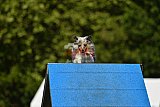 Canis zaterdag