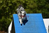 Canis zaterdag