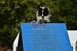 Canis zaterdag