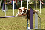 Canis zaterdag