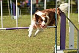 Canis zaterdag