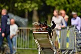 Canis zaterdag