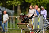 Canis zaterdag