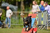 Canis zaterdag