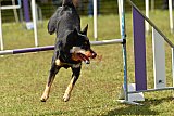 Canis zaterdag