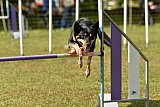 Canis zaterdag