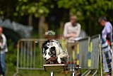 Canis zaterdag