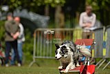 Canis zaterdag