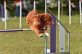 Canis zaterdag