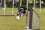 Canis zaterdag