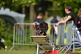 Canis zaterdag