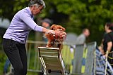 Canis zaterdag