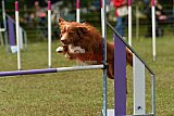 Canis zaterdag