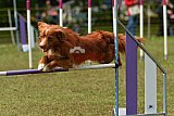 Canis zaterdag