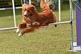 Canis zaterdag