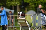 Canis zaterdag
