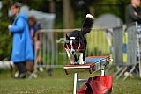 Canis zaterdag